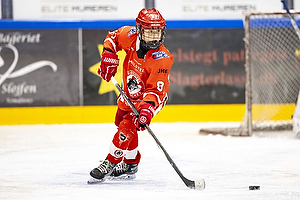 Ishockeyfoto.dk