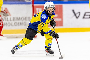 Ishockeyfoto.dk