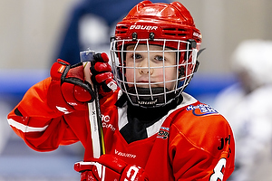 Ishockeyfoto.dk