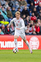 Kasper Dolberg  (Danmark)