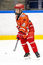 U10 Cup i Rdovre IK