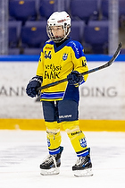 U12 Cup i Esbjerg IK